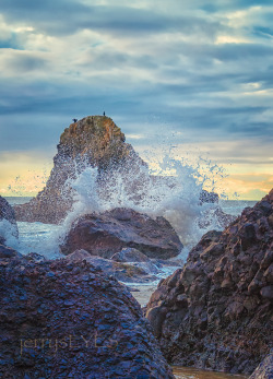 &ldquo;Crash Into Me&rdquo; Oregon CoastIndian BeachEcola State Park-jerrysEYES