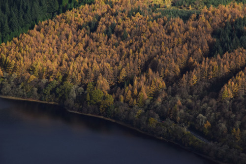 Autumnal Shades around Ben Ledi, TrossachsWe caught Autumn at its Best while going up Ben Ledi in th