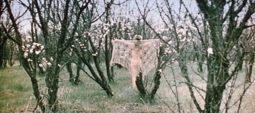 marzipandildo:A Story of the Forest: Mavka [Yuri Ilyenko, 1981]