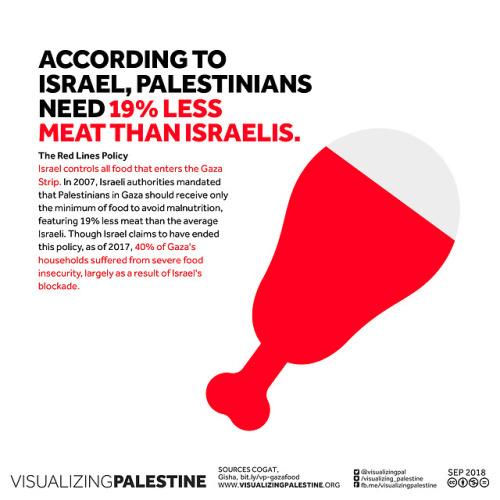 aishawarma: The Red Lines Policy Israel controls all food that enters the Gaza Strip. In 2007, Israe
