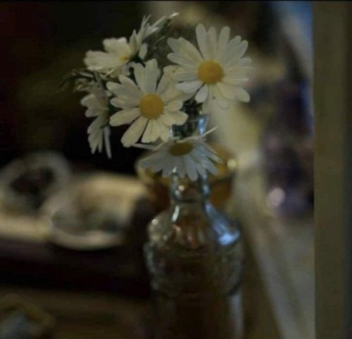 If People Were Rain, I Was A Drizzle And She Was A Hurricane. Looking For Alaska, John Green