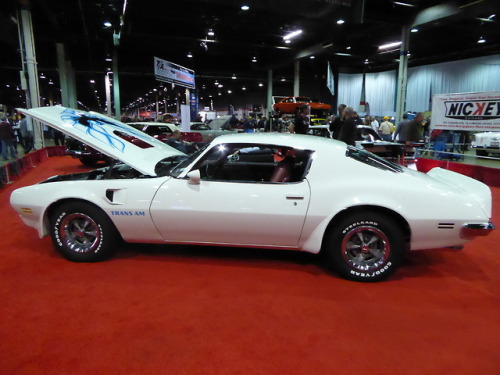 fromcruise-instoconcours:Pontiac Firebird Trans Am