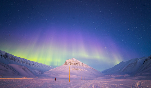 satakentia:Northern Lights (by Vince Bonnet)