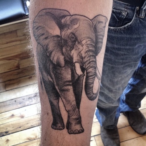 paintedrabbit:  Healed and hairy. #elephant #elephant-tattoo