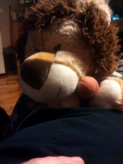 My new stuffie Courage the lion tried to