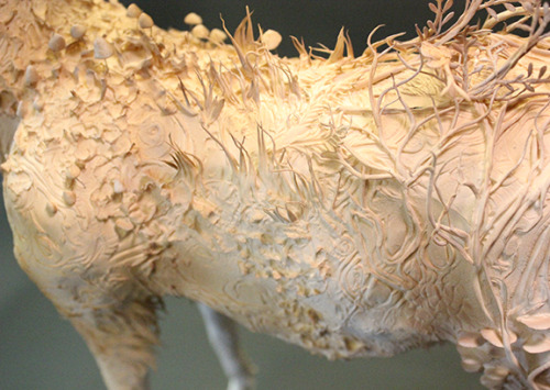 artthatremindsmeofhannibalnbc:Ellen Jewett, White Stag, 2014Sculpture 