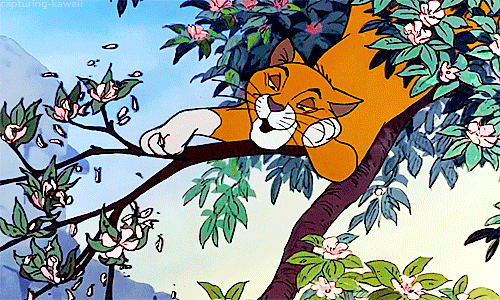 Voir un profil - Billie O'Malley 7ebf798e683767f1a14eb70935b14ecac536e220