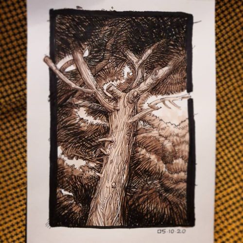 Another day, another tree…#onedayonedrawing #moleskine #sketch.daily #sketch#sketchbook #