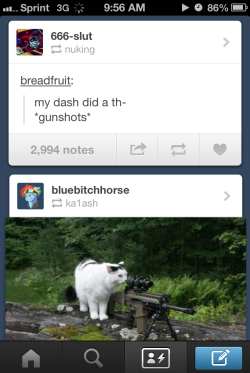 ka1ash:  my dash did a thing 