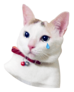stickerd:clearly expressive cat
