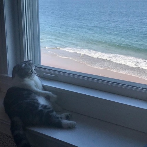 Waiting for reputation like @taylorswift @taylornation