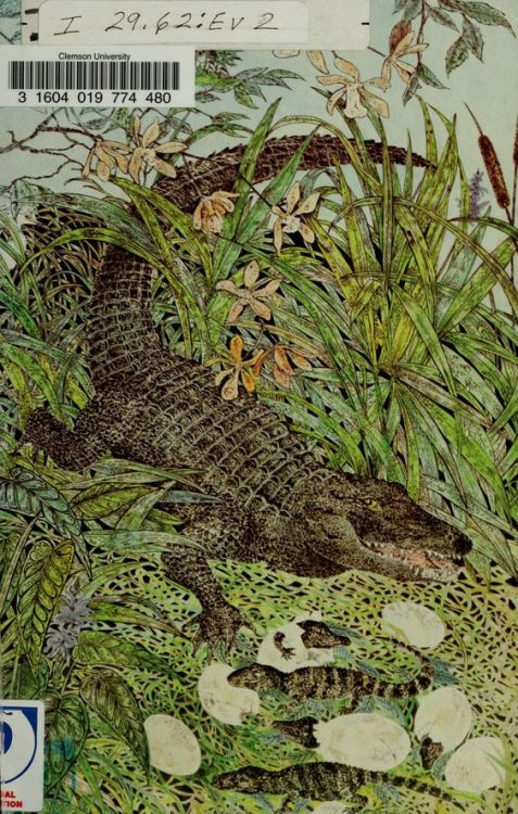 nemfrog:  Everglades Wildguide. 1972. Cover. U.S. Department of the Interior.