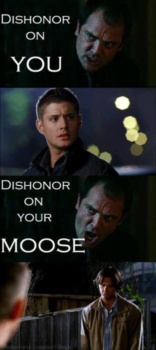 Fandom Life