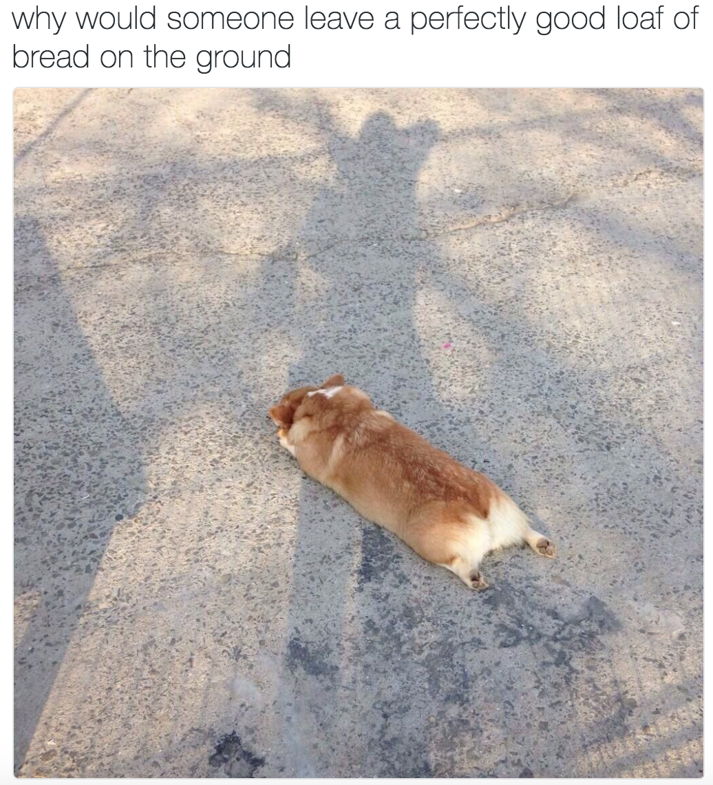 WeRateAnimals™ 