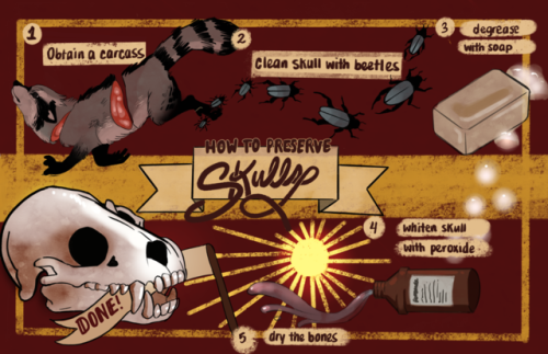 cyber-hound:  An instructable for my illustration class! Don’t get me wrong though, I am not a professional and I am sure there are better and safer ways to do this!