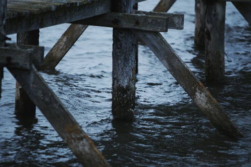 kylebonallo: Aberlady Nature Reserve, by Kyle Bonallo (@instagram)