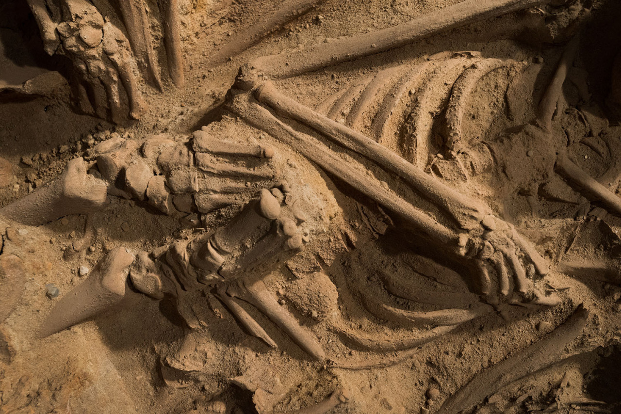 nevver:  Don’t look in the basement, 200 skeletons found in Paris