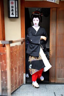 buddhabettie:  Geisha (4) | via Facebook on @weheartit.com - http://whrt.it/ZZcqWE