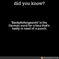 did-you-kno:  ‘Backpfeifengesicht’ is