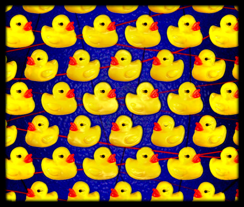 Back in 2009 ago I was invited to submit a piece on the theme of ‘Ducks, lots of ducks’. So here it 