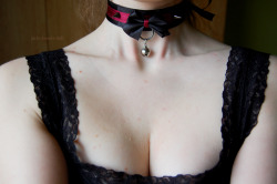 jack-daniels-doll:another one with a collar