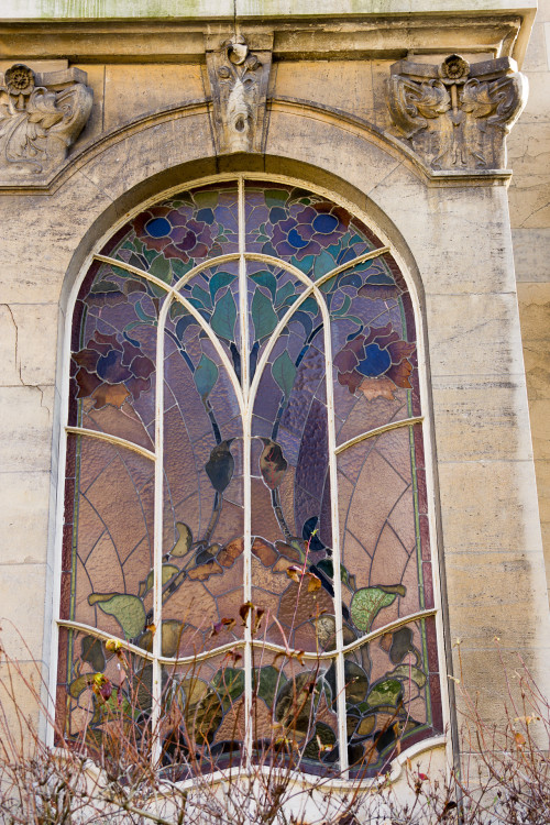 kafkasdiariies:Villa Majorelle, Nancy, France | rolleitof 