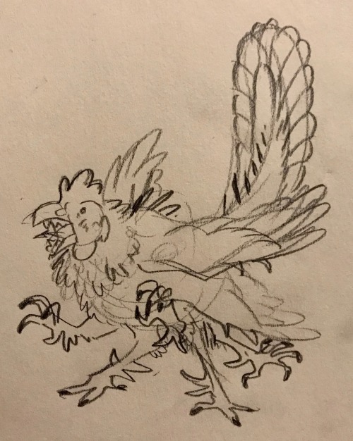 irradiatedsnakes: [ID: 5 pencil doodles. the first is of a “spicken”- space chicken- whi