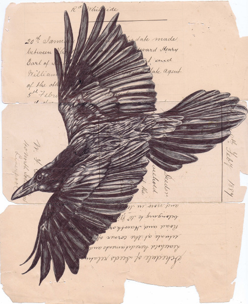 lohrien:  Illustrations by Mark Powell behance l tumblr