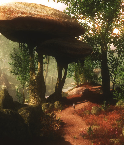 erikatschinkel:Early morning mushroom picking in Morrowind