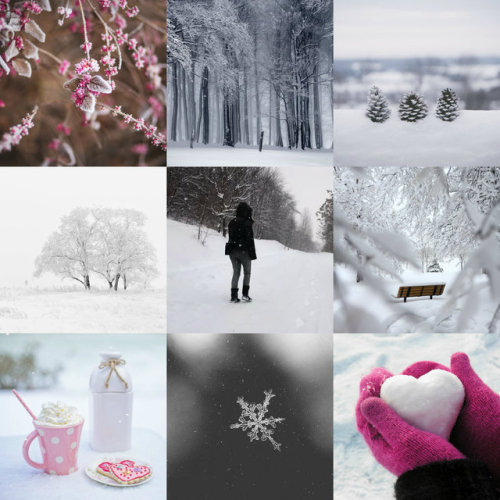 Last year I did a demiboy winter moodboard, here’s one for demigirl winter.