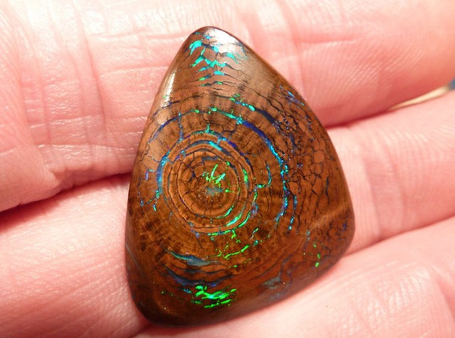 opticallyaroused:  Rare Opalized Wood Metallic Greens  