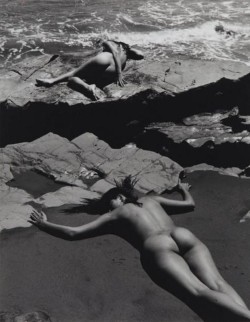 almavio: ANDRÉ DE DIENES (1913 - 1985)