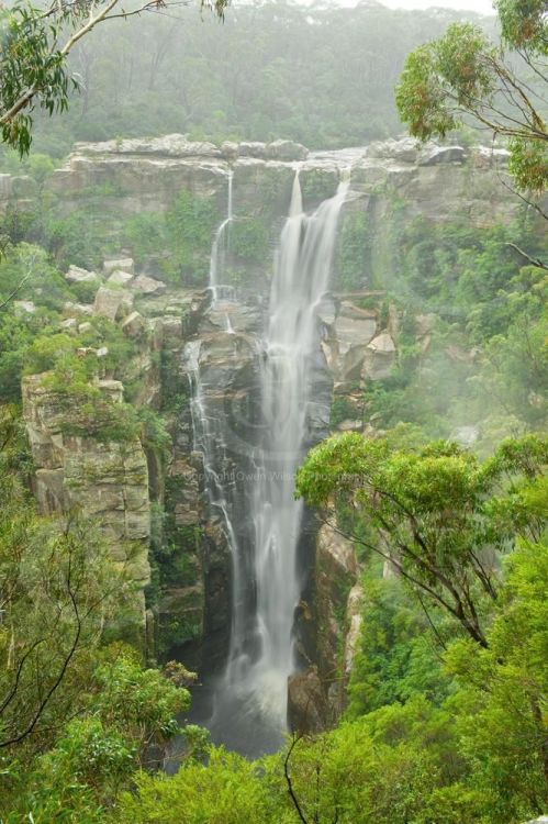 heroinsight:Carrington Falls, Budderoo National Park, South Coast, NSW Australia, by Owen Wilson