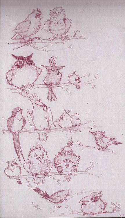 juls-art:  many poke birdies~ 