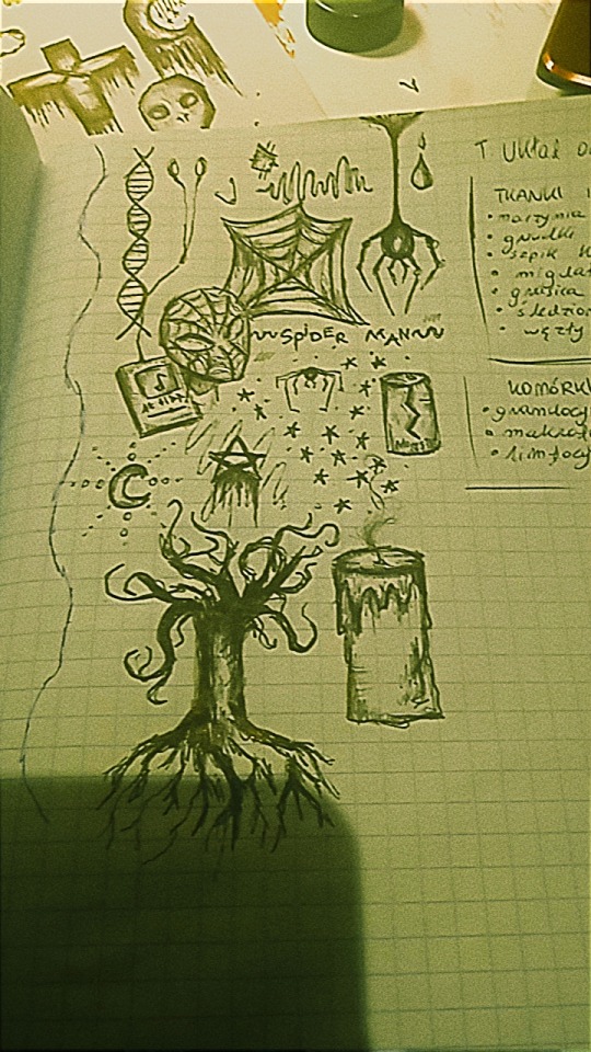 Okay But Drawing Durning Lessons>>>