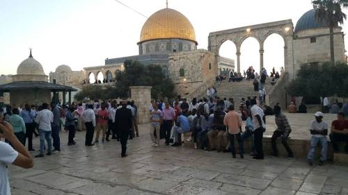 from-palestine:  Eid AlAdha , Palestine.