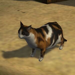 lowpolyanimals: Cat from The Lord Of The Rings Online