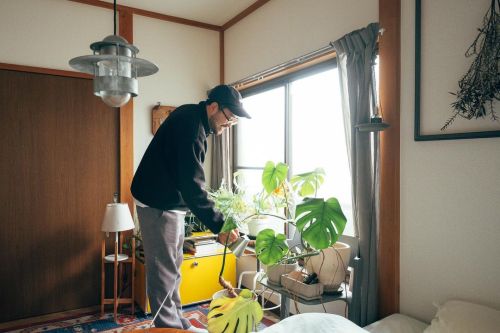 :「大切に育てている大好きな植物。」:リビングの一角には植物がたっぷり配置。写真で見ても思わず目を引くスペースです。「マニアなほどではないですが、植物がとても好きなんです。