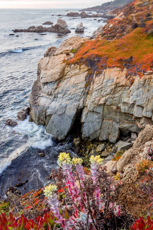 expressions-of-nature:Big Sur, CA by Rod Heywood