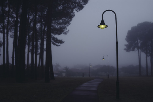 michaelwwilson-blog: Decent fog around the suburbs of Perth this morning. June, 2018.