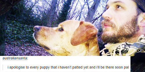 stripperleepace:  tom hardy + dogs (oops) adult photos