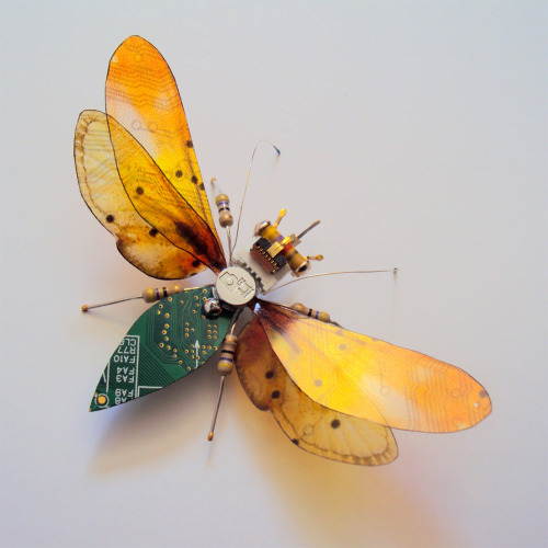 itscolossal: New Winged Insects Constructed from Video Game and Computer Components