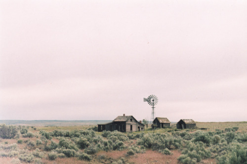 cabinporn:  Derelict homestead in Eastern Oregon. Photograph by Miles Bowers.