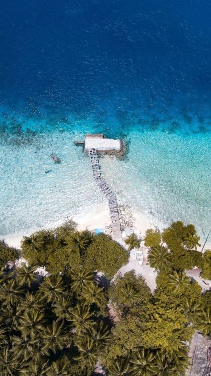 Maldives, aerial view, palm tree, pier, coast, 720x1280 wallpaper @wallpapersmug : ift.tt/2F