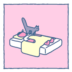 Catcats