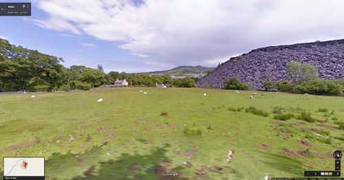 googlesheepview: Bethesda, Gwynedd, North WalesSubmission by Tamsin