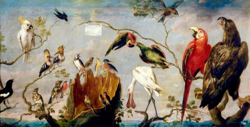 art-nimals: Frans Snyders (1579 - 1657), A Concert of Birds