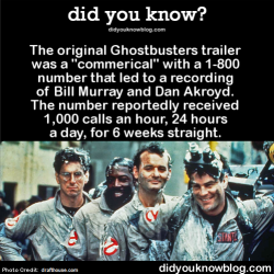 did-you-kno:  The original Ghostbusters trailer was a “commerical” with a 1-800 number that led to a recording of Bill Murray and Dan Akroyd. The number reportedly received 1,000 calls an hour, 24 hours a day, for 6 weeks straight. Source