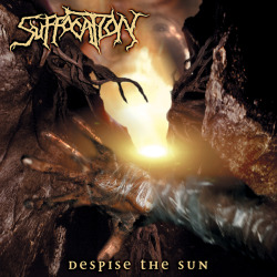 reincremation:  Suffocation - Despise The