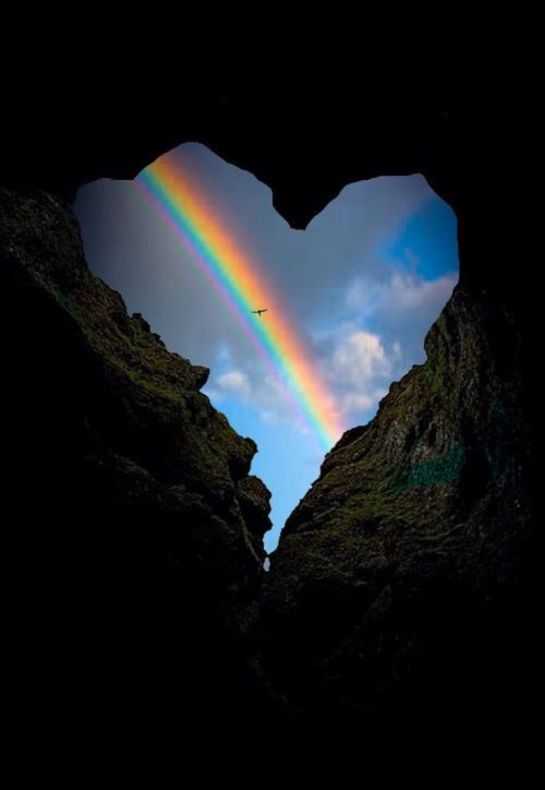 orchidaorchid:  ❤🌈 